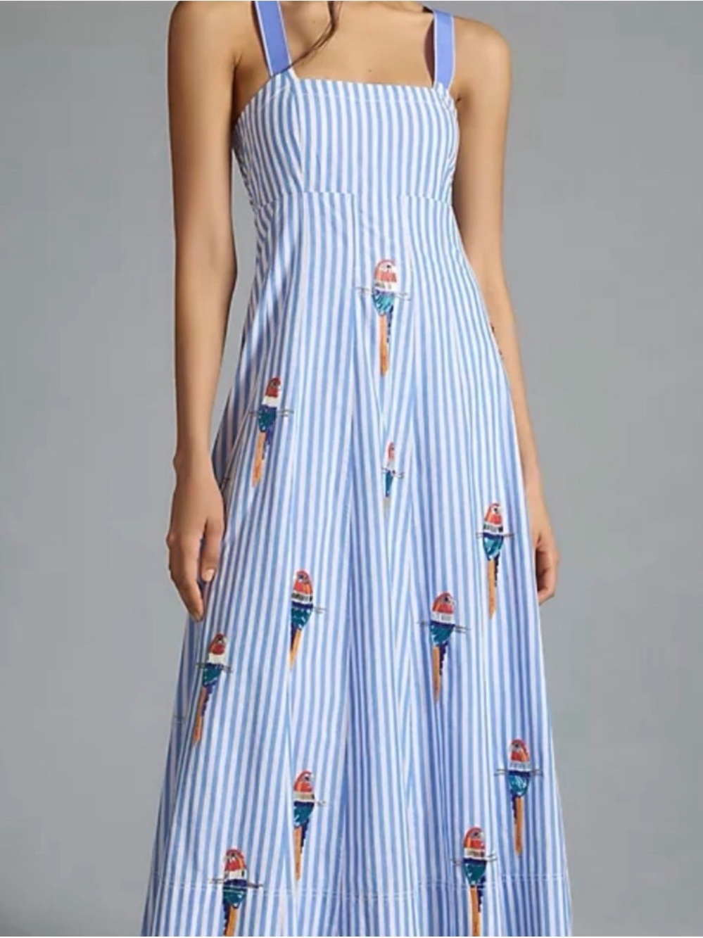 Anthropologie Blue & White Striped Maxi Dress with Parrot beading